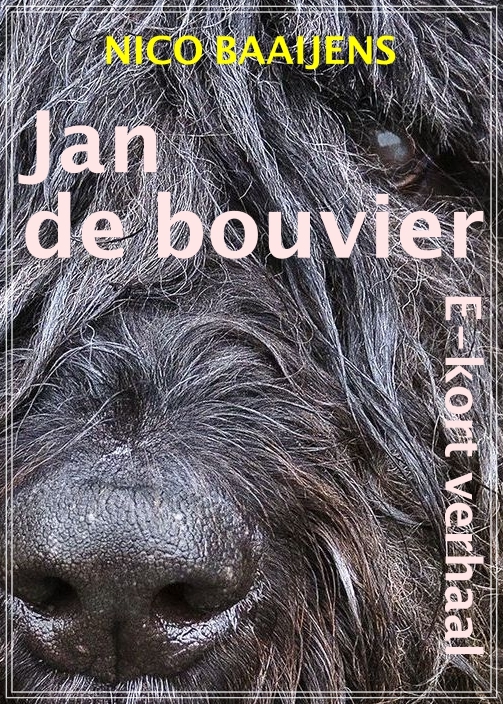 Jan de bouvier