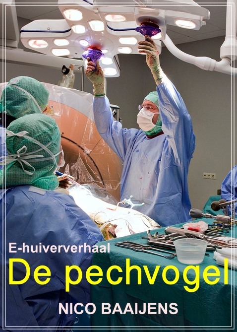 De pechvogel