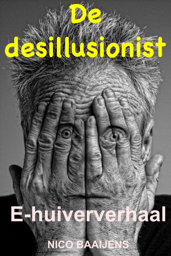 De desillusionist