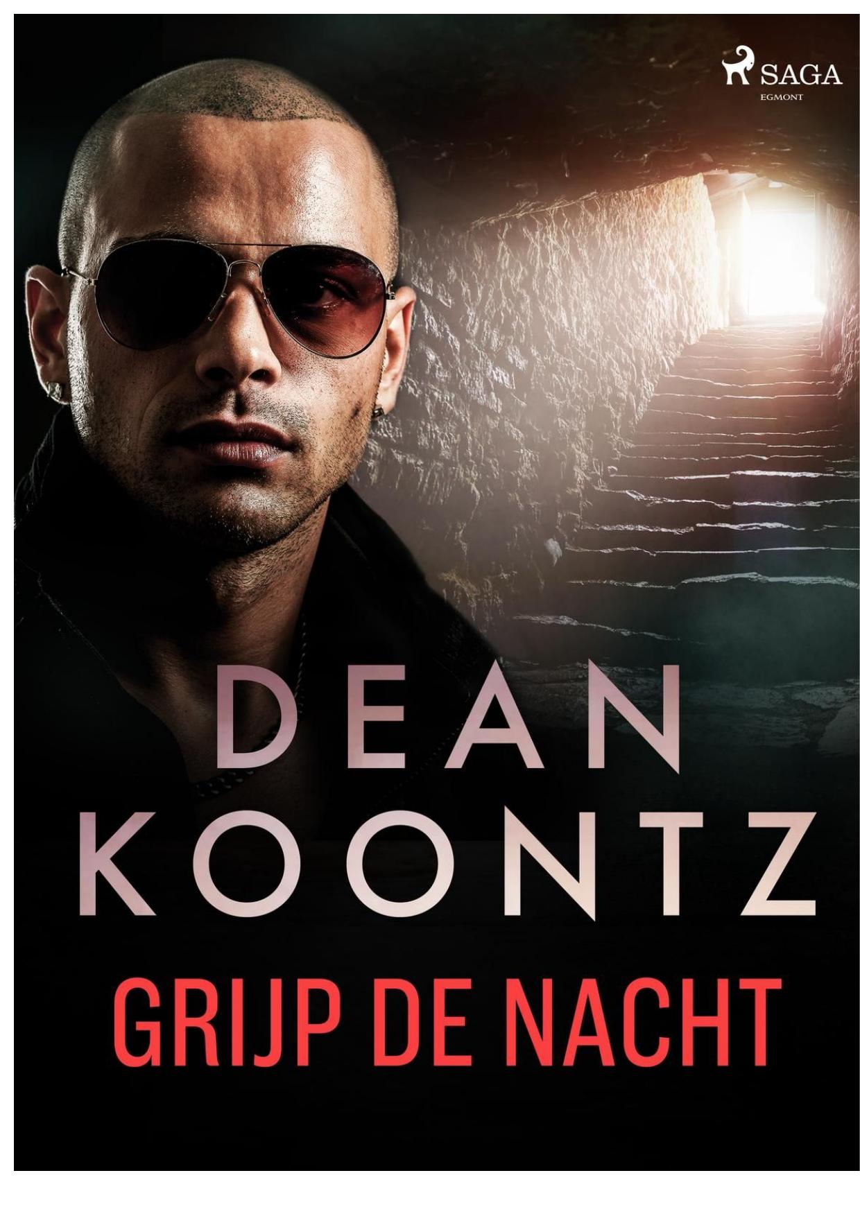 Grijp de nacht