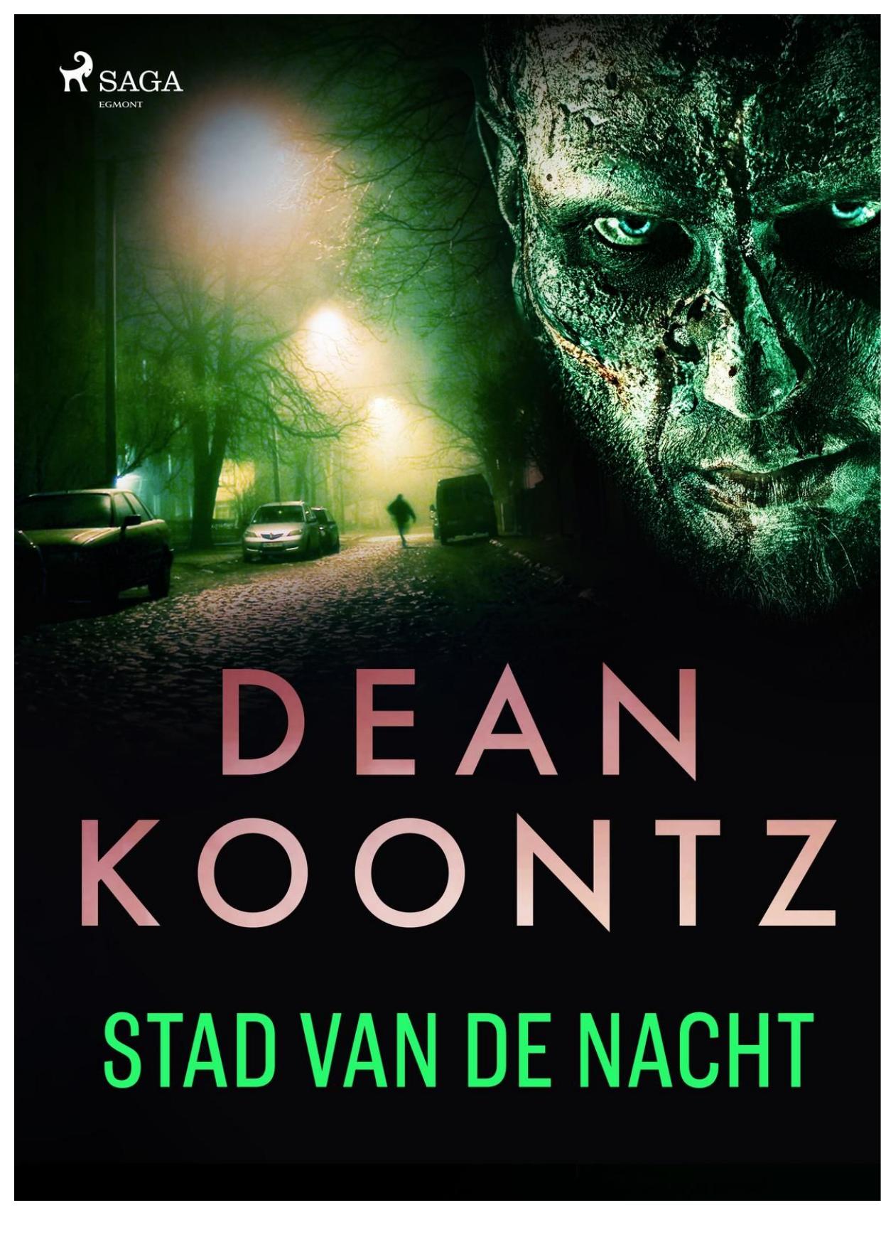 Stad van de nacht