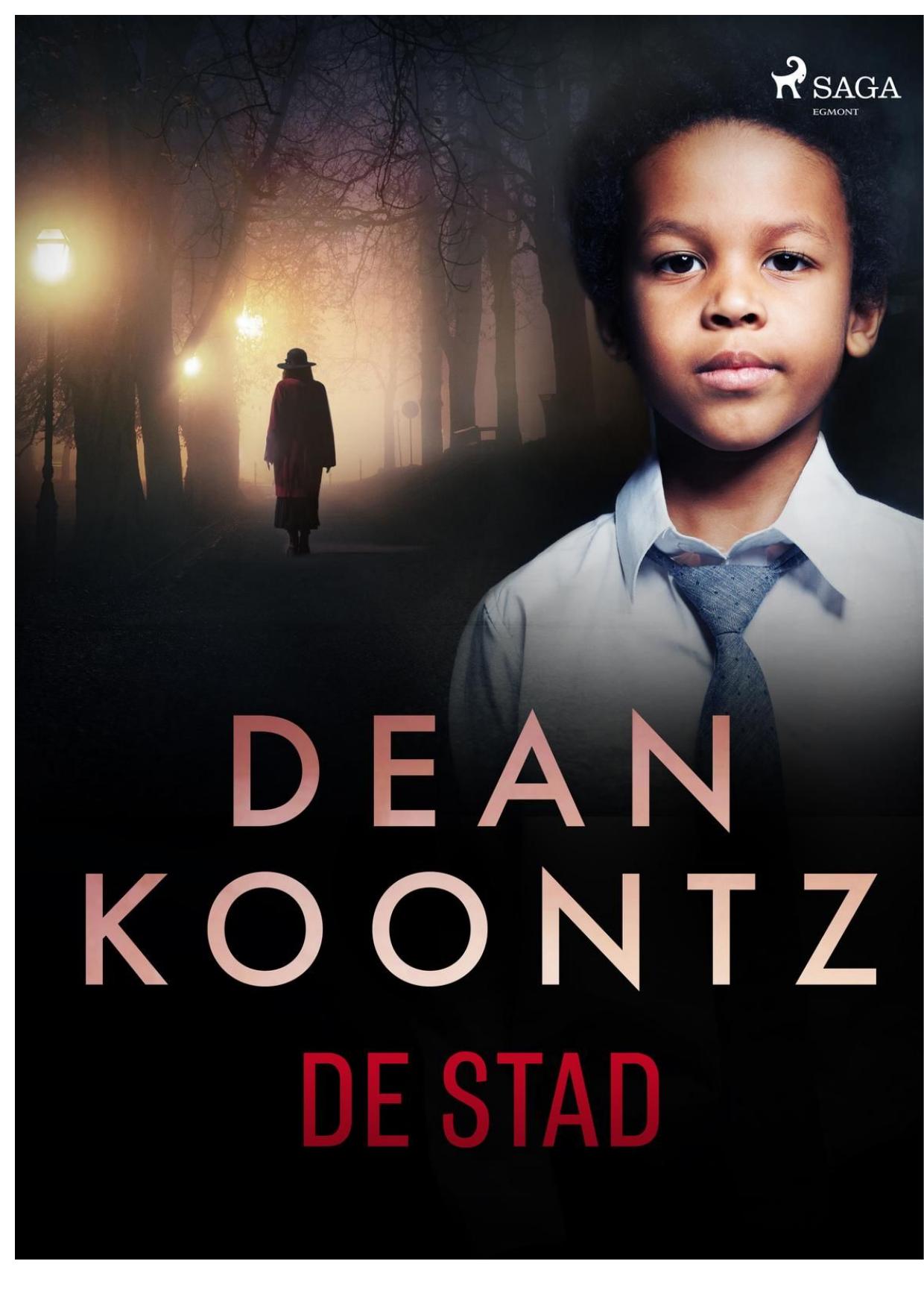 De stad