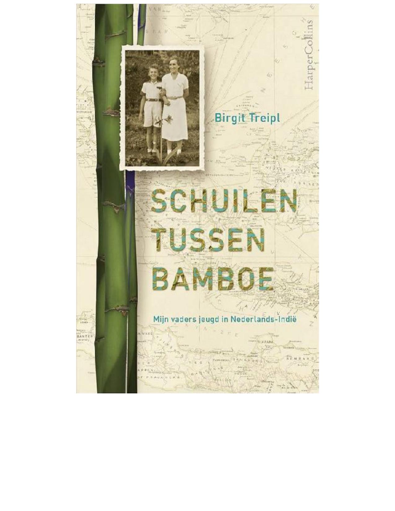 Schuilen tussen bamboe