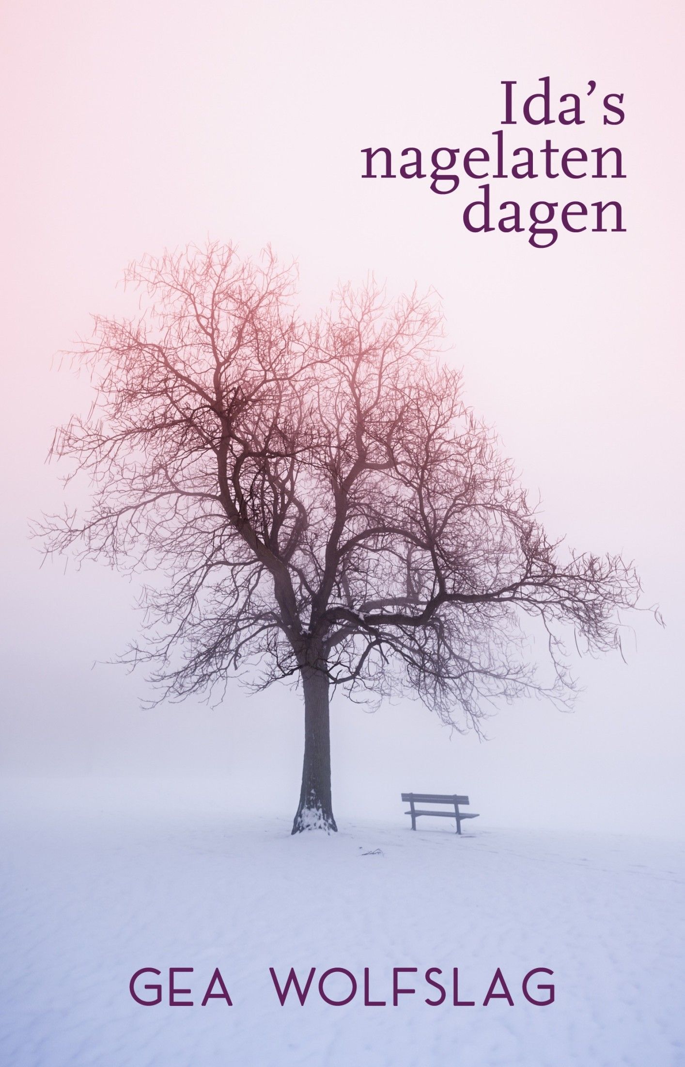 Ida's nagelaten dagen