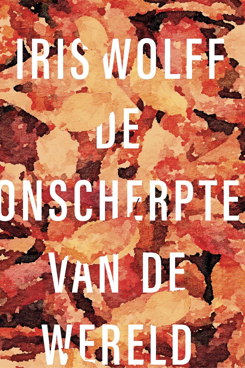 De onscherpte van de wereld