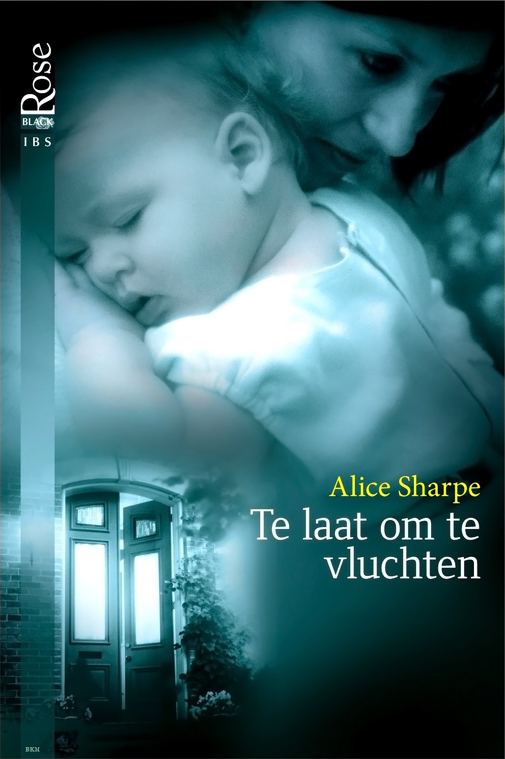 Te Laat Om Te Vluchten