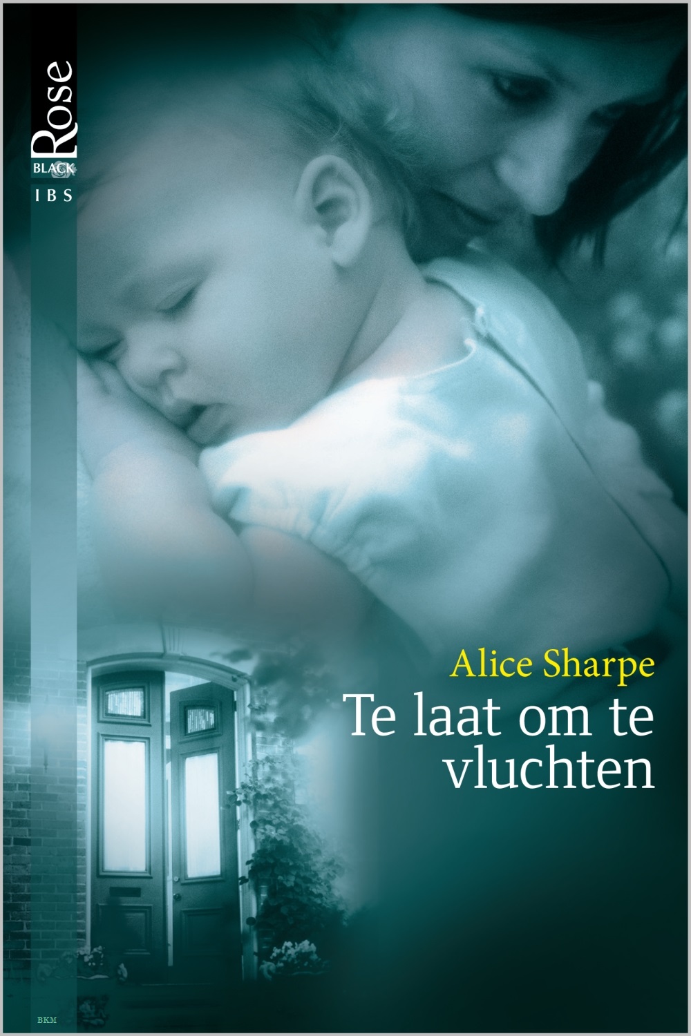 Te laat om te vluchten