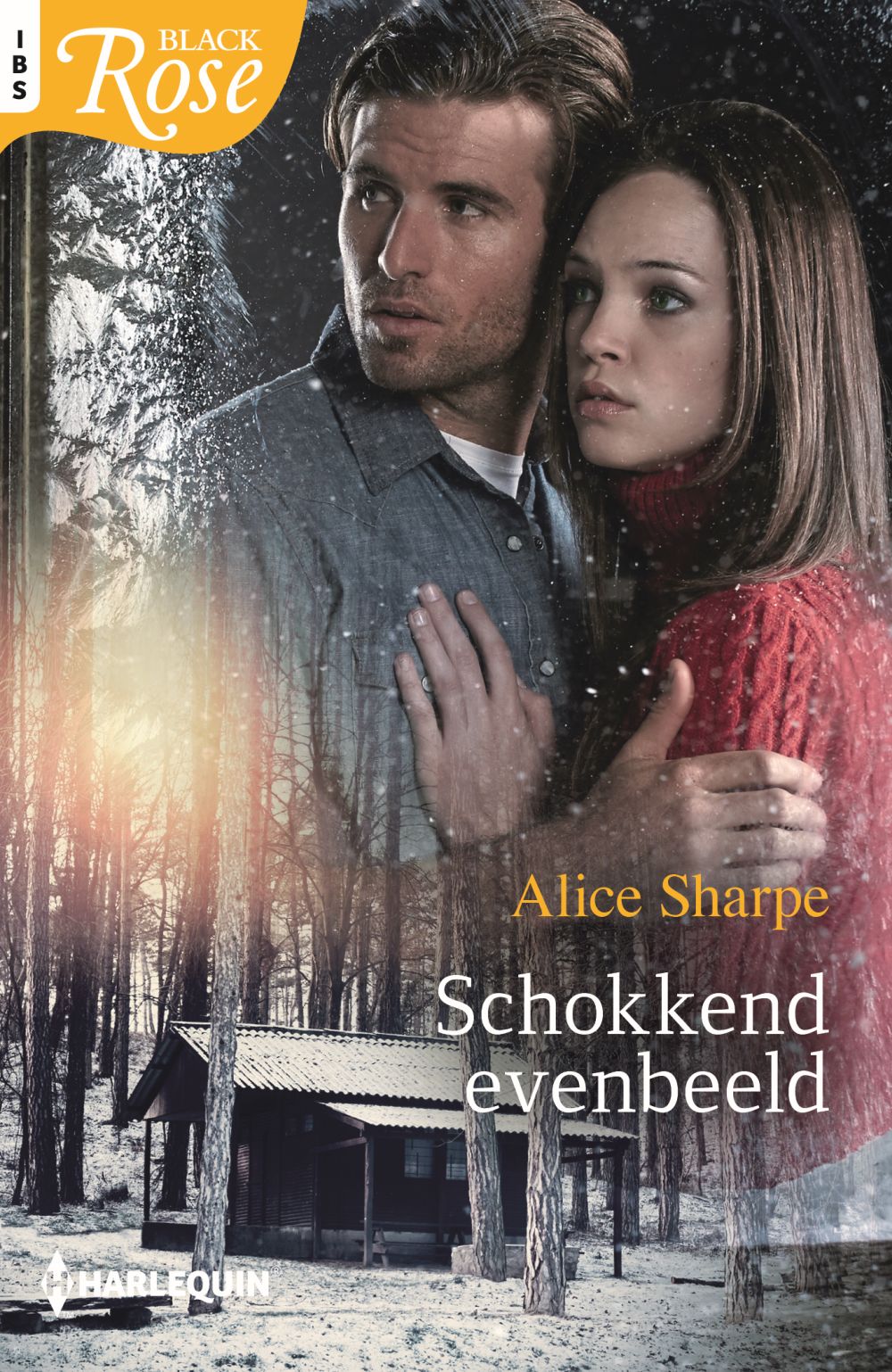 Schokkend evenbeeld