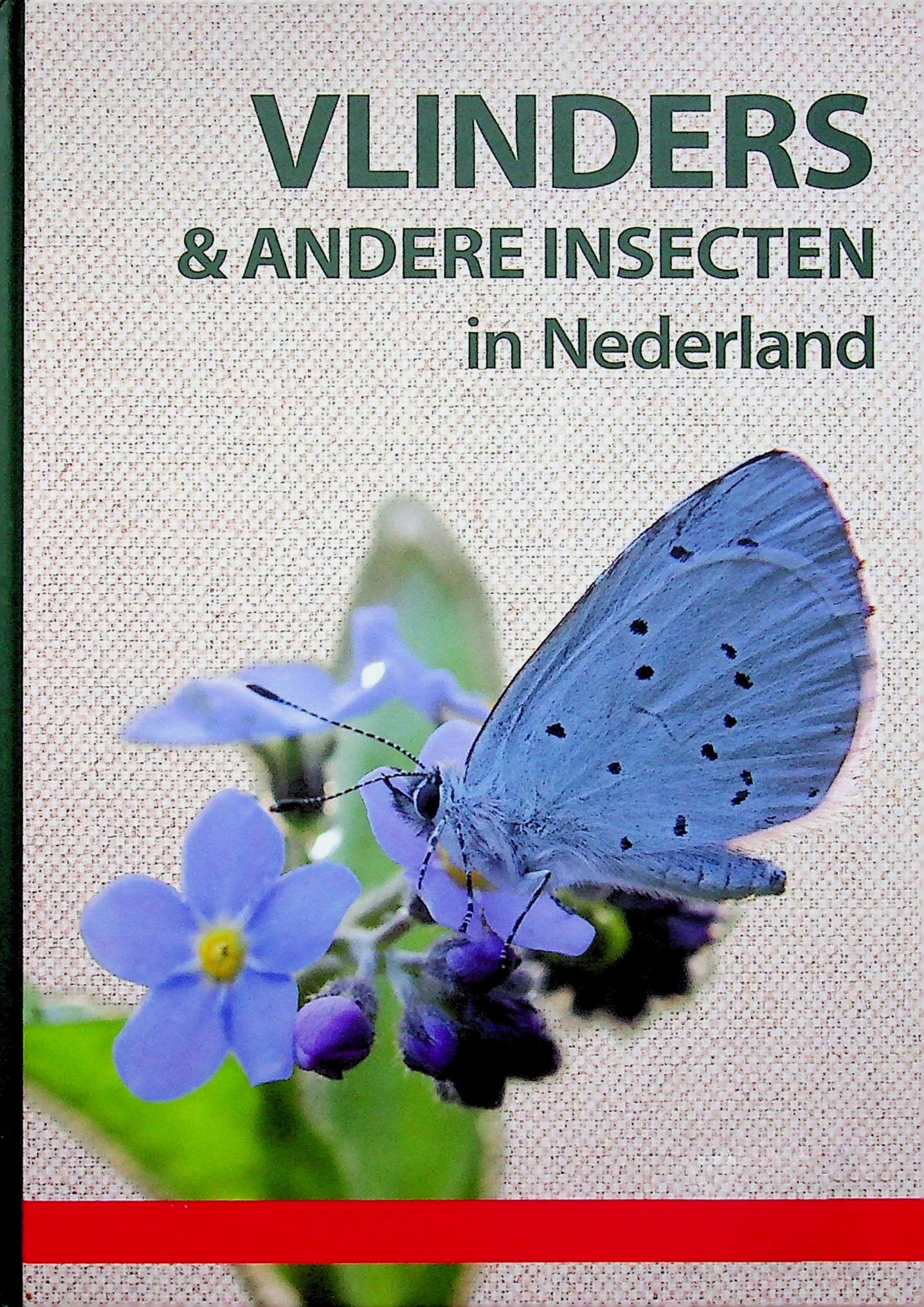 Vlinders en andere insecten in nederland